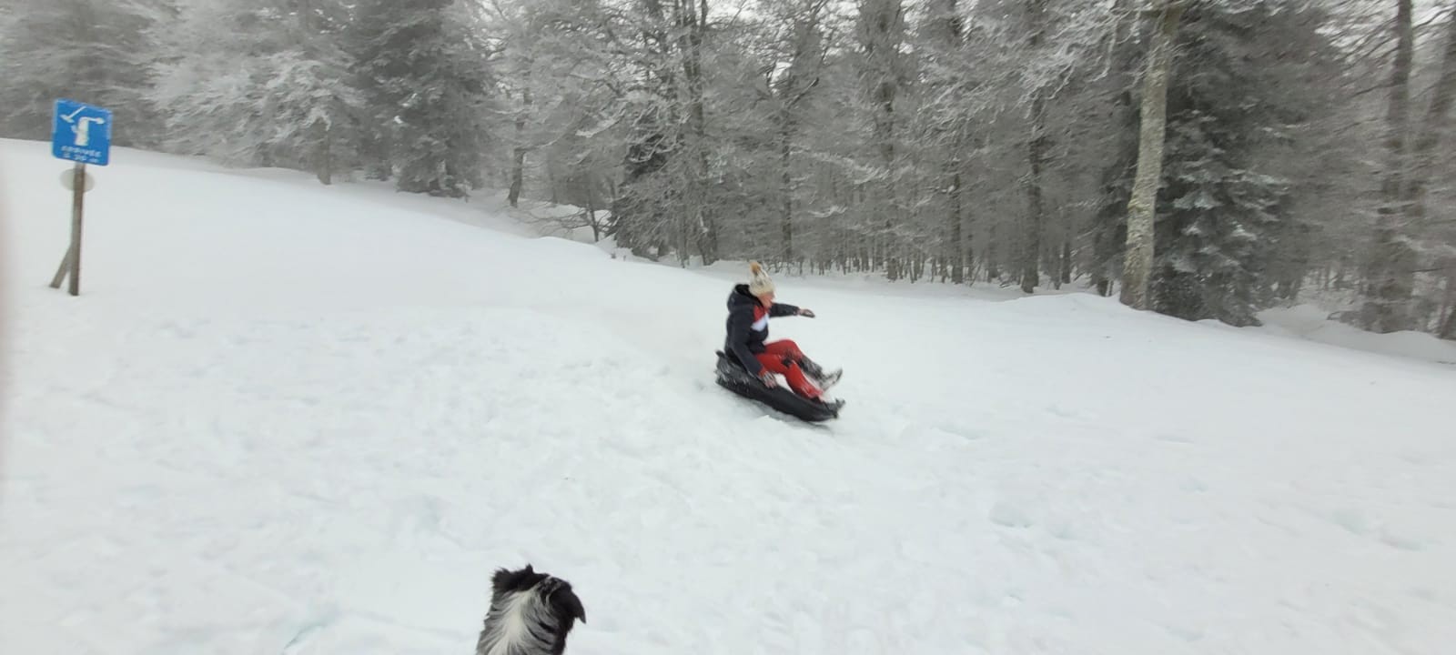 2021 12 12 luge 146