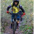 2024 11 16 image 052