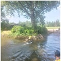 2025 06 14 image07