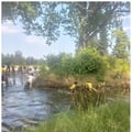2025 06 14 image37