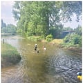 2025 06 14 image45