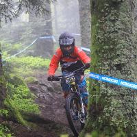 Image 243