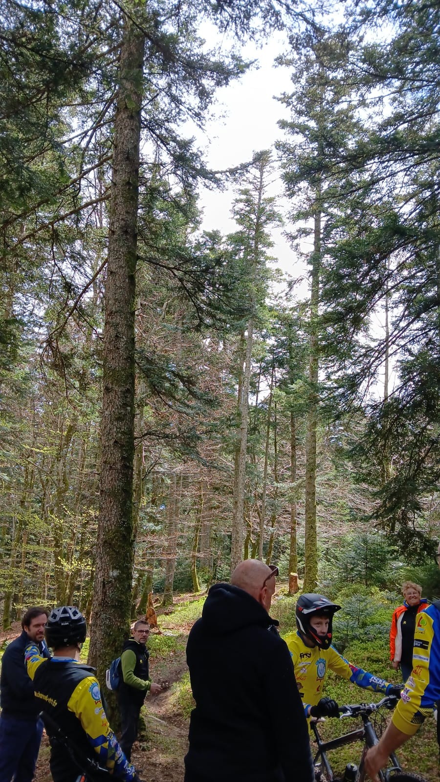 Photo 2025 04 19 17 07 18